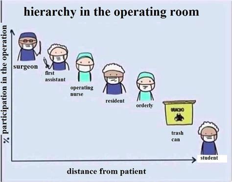 Hierarchy in the operating room - Funny | Student humor, Operating room nurse humor, Funny nurse ...