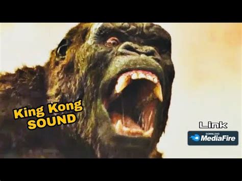 KING KONG ROAR SOUND EFFECT - MONSTER KONG - YouTube