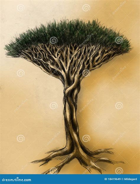 Unusual Tree - Pencil Drawing Royalty Free Stock Images - Image: 18419649