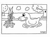 Printable Pond Animals sketch template