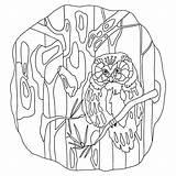 Owl  Owls coloring Pages For Adults Online And Printable sketch template