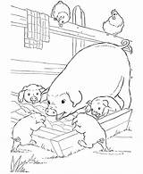 Lovely Pig Coloring Page  Free Printable Pages For Kids sketch template