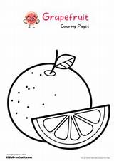 Grapefruit Coloring Pages For Kids – Free Printables  Art & Craft sketch template