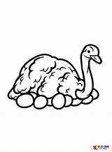 Emu Coloring Pages Printable For Free Download sketch template