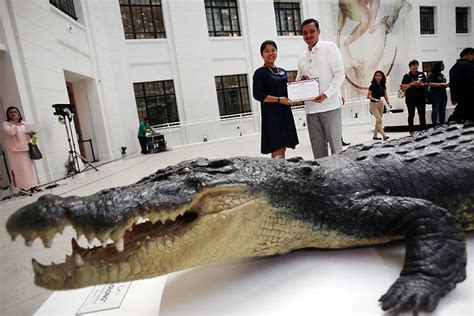 Lolong's replica now at Museum of Natural History | Photos | GMA News Online