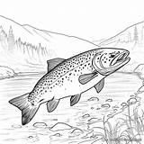 Brook Trout Coloring Pages  Free & Printable sketch template