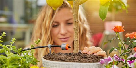 Benefits of a Micro drip irrigation system