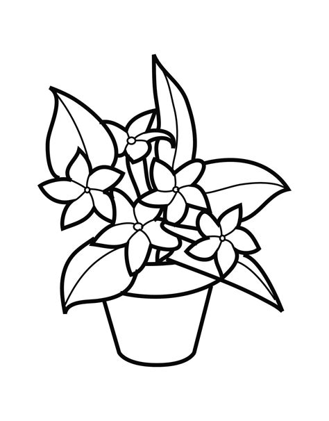 Flower Pot Coloring Pages Printable