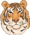 Free Tiger Clipart