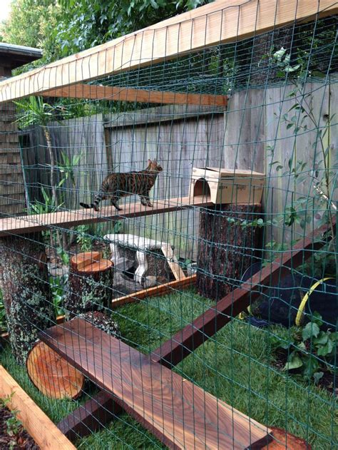 Cat enclosure walnut perches with oak tree stumps. | Gatil externo ...