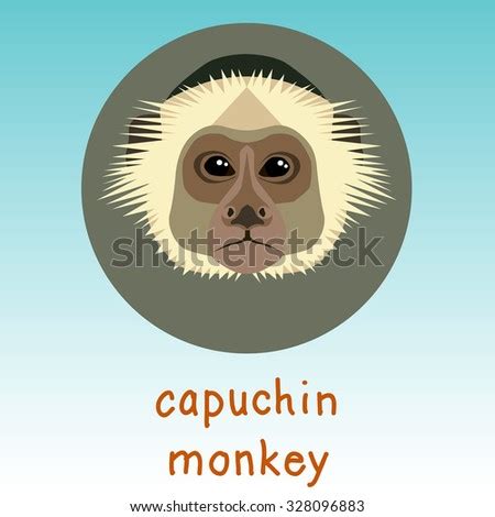 Capuchin Monkey Stock Vectors & Vector Clip Art | Shutterstock