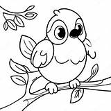 Cute Robin Sitting On A Branch Coloring Page  Pagescom sketch template