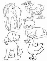 Animal Coloring Pages Free Printable PDF sketch template