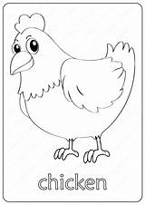 Cute Chicken Coloring Pages sketch template