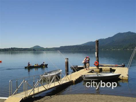 10 BEST Things to Do at Lake Quinault Lodge