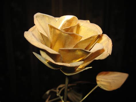 Golden Rose Wallpapers - Top Free Golden Rose Backgrounds - WallpaperAccess