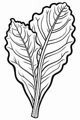 Swiss chard coloring pages For Kids Featuring This Nutritious Leafy  sketch template