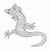 Leopard Gecko Coloring Pages sketch template
