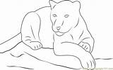 Panther Coloring Pages Free Printable  Templates sketch template