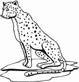 Printable Cheetah Coloring Pages sketch template