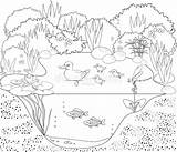 Coloring Duck Pond Stock Vector  Image 61553156 sketch template