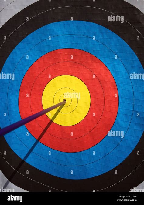 BULLSEYE! A single arrow hits the dead centre of an archery target. A ...