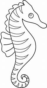 Realistic Seahorse Coloring Page sketch template