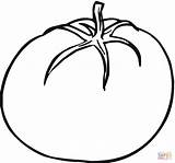Tomato coloring Page  Free Printable Coloring Pages sketch template