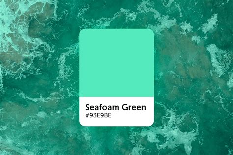 Seafoam Green Color Scheme