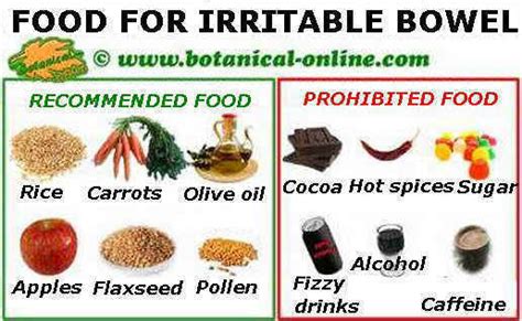 Plant-based diet for irritable colon or irritable bowel syndrome – Botanical online