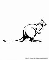 Large Kangaroo With Pouch Coloring Pages sketch template
