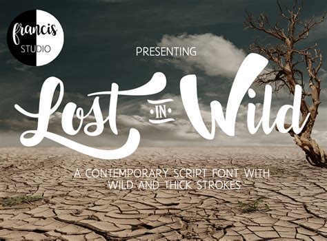 Lost in Wild Font | dafont.com