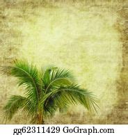 900+ Palm Leaf Border Stock Illustrations | Royalty Free - GoGraph
