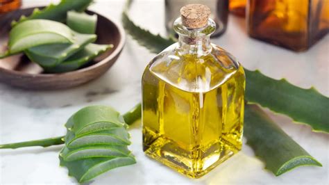 How to Make Aloe Vera Hair Oil for Hair Growth? | Benefits