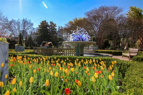 Atlanta Botanical Garden: The Complete Guide