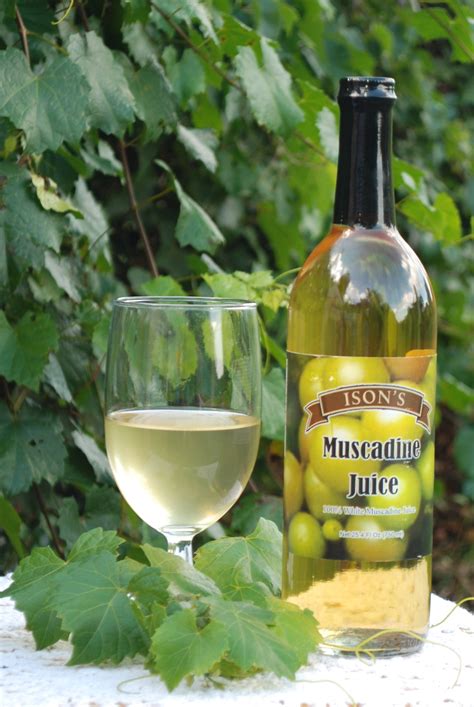 Muscadine Red Juice - Ison's Nursery & Vineyard