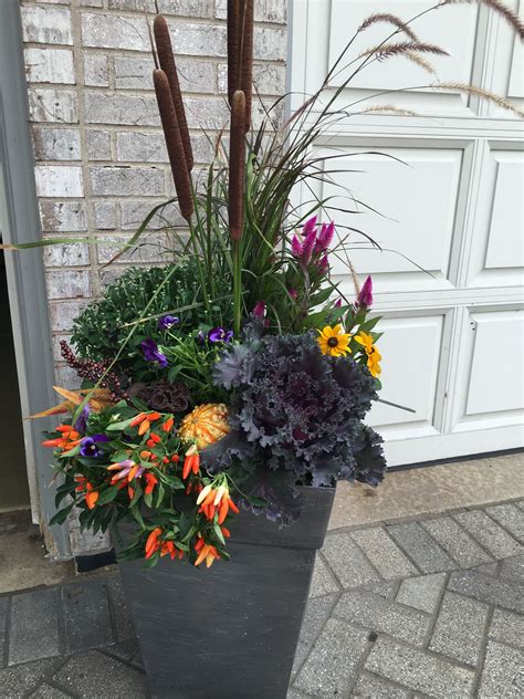 Pin by Daisy on Container Gardening | Fall front porch, Fall porch, Container gardening