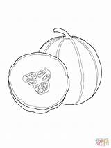 Cantaloupe coloring Page  Free Printable Coloring Pages sketch template
