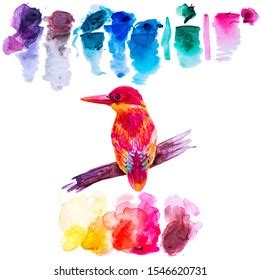 Tropical Bird Painted Watercolor Handpainted Colorful Stock ...