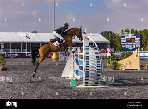 Horse Jumping Championship Stock Photo - Alamy