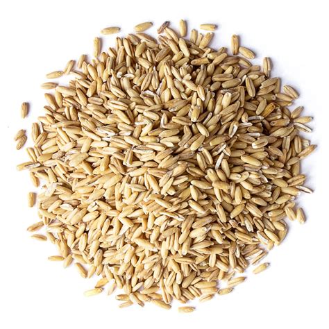 Organic Whole Grain Oat Groats Buy in Bulk from Food to Live