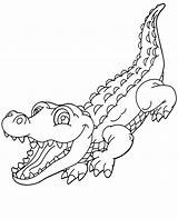 Coloring Crocodile Pages Everglades Florida Crocodiles Color Alligators  sketch template