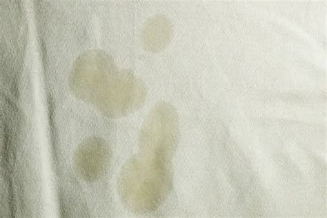 How To Get An Olive Oil Stain Out Of Clothes - Multiple Methods