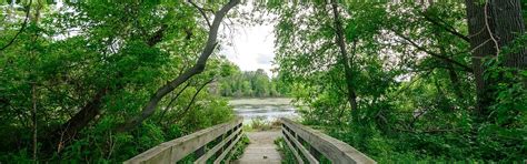 Bay City State Park celebrates a century of memories