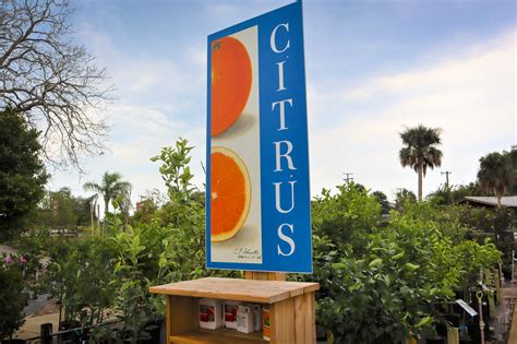 Citrus in Crisis: A Tale of Florida’s History of Citrus Growing, Citrus ...