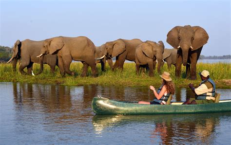 Wild Zambia - South Luangwa & Lower Zambezi - African Wildlife Safaris