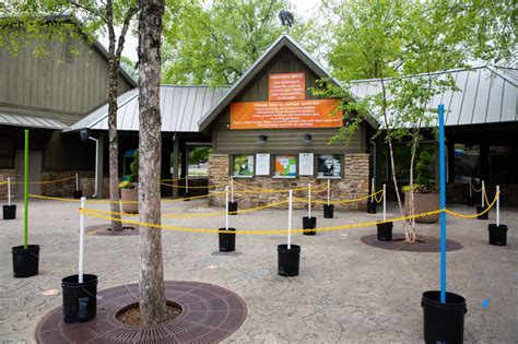 Reopening Tennessee: Zoo Knoxville opens for visitors with updated ...