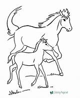 Horse Coloring Pages sketch template