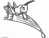 Cricket Coloring Pages To Print sketch template