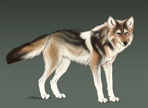 Coywolf by sevas-tra on DeviantArt